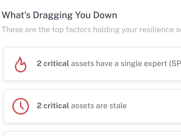 Detailed Insights